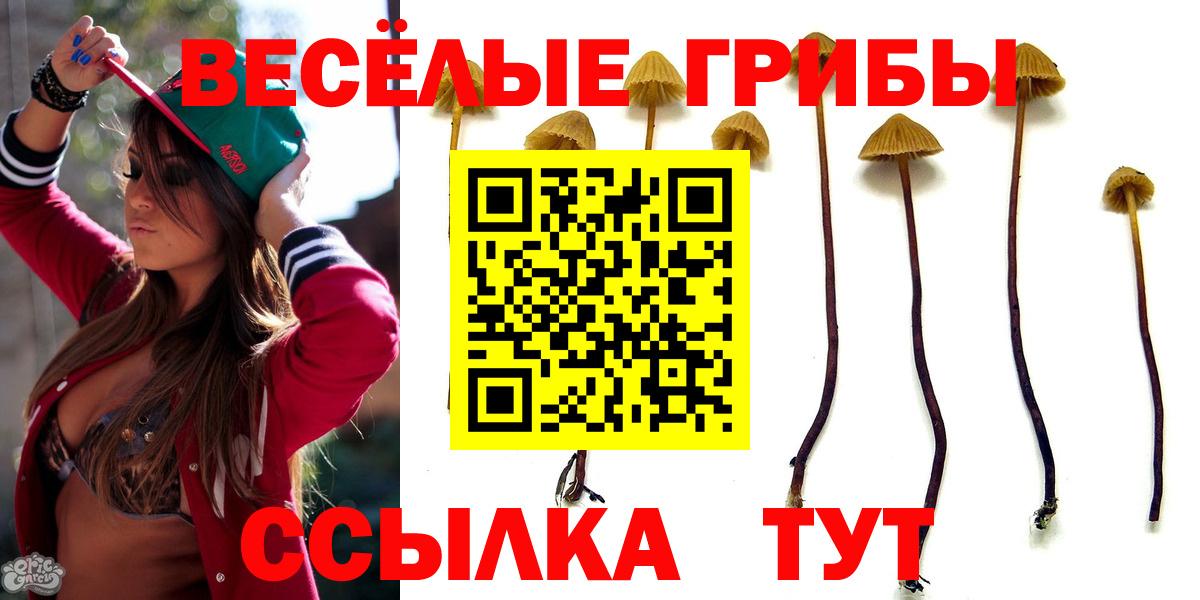 Галлюциногенные грибы Psilocybe  Вход с VPN  Псилоцибиновые грибы Cubensis  Вичуга 