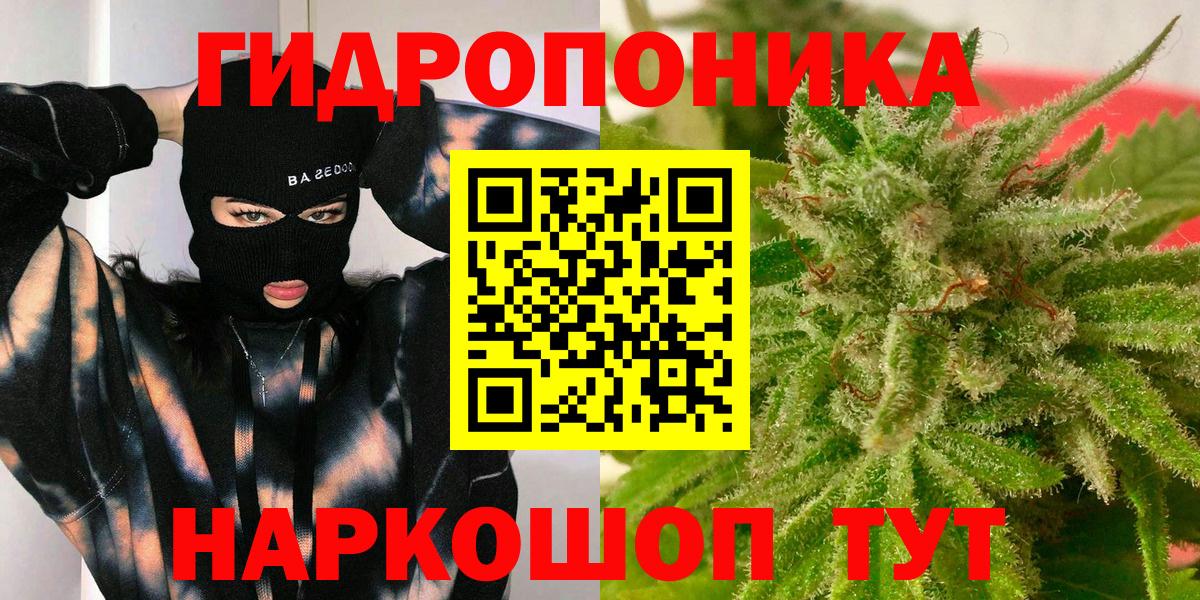 Конопля OG Kush  Конопля марихуана  Бошки марихуана LSD WEED  Вичуга  Канабис планчик  Вход с VPN 